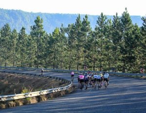 Riders seen taking on a bend with a wonderful forest backdrop during the Panorama Tour. Photo: HH Photography & Design