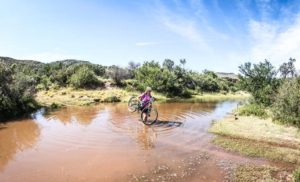 Dense marshes and swamps challenged riders during stage two of the Trek 2 Teebus. Photo: Oakpics