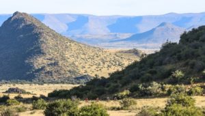 Riders enjoyed beautiful views and magnificent mountains on stage one of Trek 2 Teebus