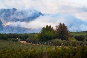 Riders during Liberty Winelands MTB Encounter