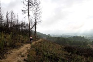 Winelands MTB route