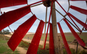 Farm land Amarider 100Miler route