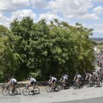A group of cyclists in action during stage four of the Giro d'Italia