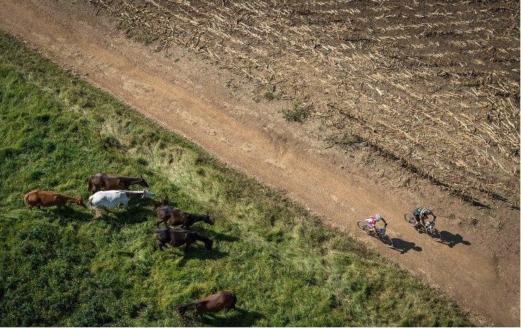 Mountain bikers in action during stage one of last year's sani2c Adventure
