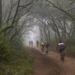 Riders entering an enchanting forest during stage two of the sani2c Race. Photo: Anthony Grote