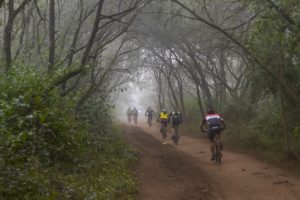 Riders entering an enchanting forest during stage two of the sani2c Race. Photo: Anthony Grote
