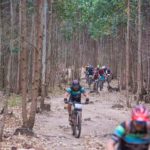 Riders going through a forest during the sani2c Race. Photo: Anthony Grote