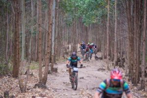 Riders going through a forest during the sani2c Race. Photo: Anthony Grote
