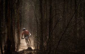 A rider passes through a forest section on day one of sani2c Adventure.