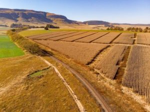 An aerial view of riders during day one of sani2c Trail