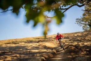 A rider enjoys a descent section on day one of sani2c Trail