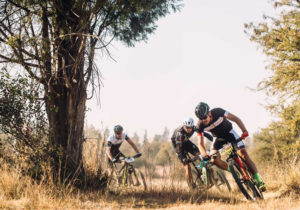 Arno du Toit action Trailseeker Series Legends MX