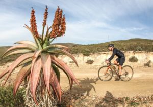 Rider taking on a dry, desert-like descent during the Around the Pot 100 Miler. Photo: Oakpics
