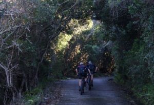 Riders moving up on a slight ascent through a tree-like arch tunnel-way during the Storms River Traverse. Photo: ZCMC