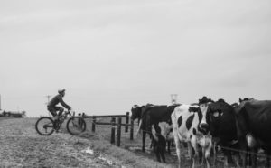 Rider action stage one Storms River Traverse