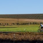 The Western Cape once again showing itself off with the various farm and winelands in the area. Photo: Henk Neuhoff Photography