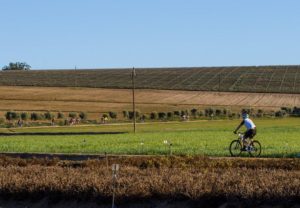The Western Cape once again showing itself off with the various farm and winelands in the area. Photo: Henk Neuhoff Photography