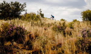 Y2Karoo Race stage two riders on hill