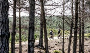 Riders moving through a dry, wooded forest during stage three of the Dr Evil Classic. Photo: oakpics.com