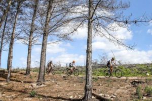 A wider-pan shot of riders taking on the dry trails through a forest section. Photo: oakpics.com