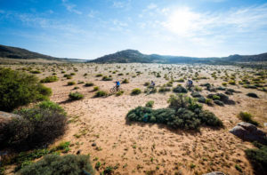 Namaqua Quest MTB Stage Race stage one scenery
