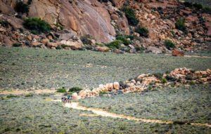 Namaqua Quest MTB Stage Race stage two scenery