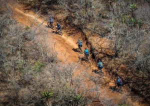Aerial shot of cyclist moving through and between cattle tracks during stage two of the Berg and Bush 'Descent'. Photo: Tobias Ginsberg