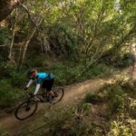 A rider moving in between a denser forest section during stage three of the Berg and Bush 'Great Trek'. Photo: Em Gatland