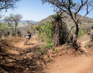 A rider swerving down a bend during stage three of the Berg and Bush 'Great Trek'. Photo: Em Gatland