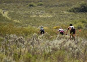 Riders moving through a fynbos section during stage one of the Cape Pioneer Trek. Photo: Marike Cronje