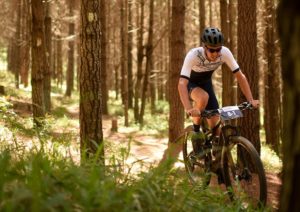 A rider moving through a forest section during stage three of the Cape Pioneer Trek. Photo: Carli Smith