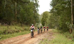 Riders moving between a forest section during stage two of the Cape Pioneer Trek. Photo: Carli Smith