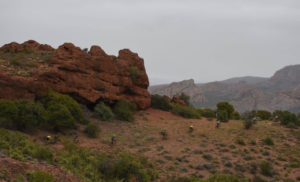Cape Pioneer Trek stage five scenery