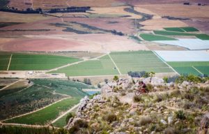 A wonderful view of farmlands and plots in stage one of The U MTB Stage Race. Photo: Chris Hitchcock