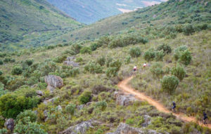 The U MTB Stage Race prologue scenery