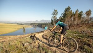 Mountain bikers enjoy beautiful scenery on stage two of the Wines2Whales