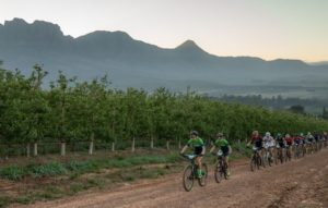 The elite women teams pictured moving through some wine lands during the opening stage one of the Wines2Whales Chardonnay. Photo: Greg Beadle