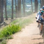 Riders moving past a forest section at the Origin of Trails. Photo: David Tarpey