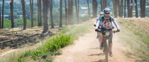 Riders moving past a forest section at the Origin of Trails. Photo: David Tarpey