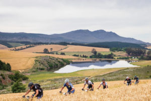 Stage two scenery Wines2Whales Shiraz