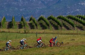 The elite bunch of riders moving through some winelands on stage three of the Wines2Whales Shiraz. Photo: Nick Muzik