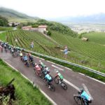 Cyclists in action during the Tour of the Alps