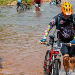 Swazi Frontier stage two