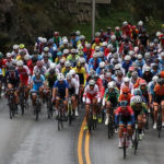 The UCI management committee has approved an unprecedented cost-saving plan